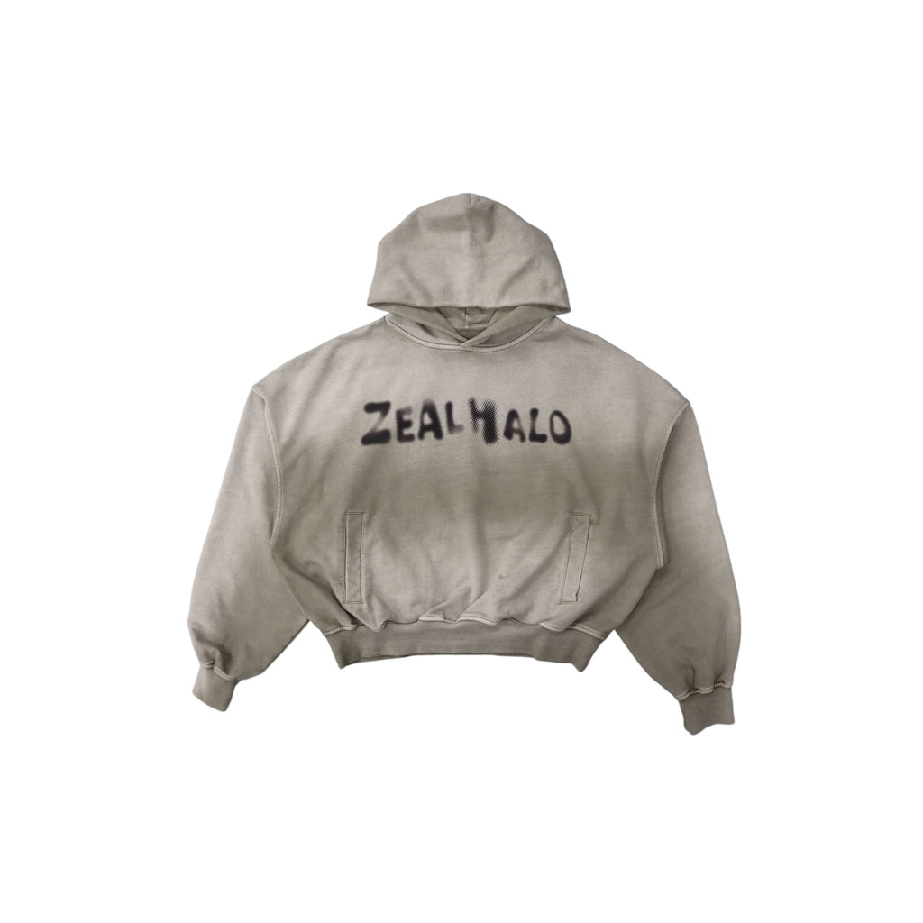 Beige Washed Hoodie product image